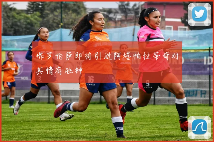 佛罗伦萨即将引进阿塔帕拉蒂奇对其情有独钟
