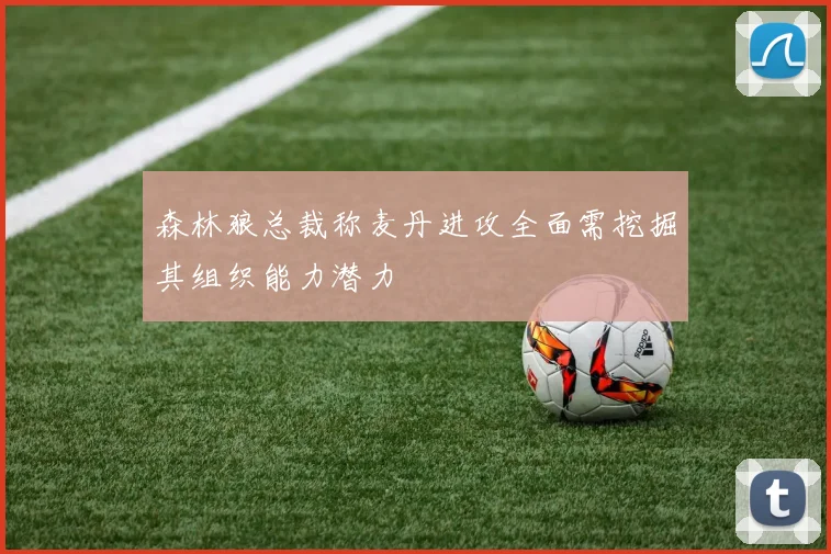 森林狼总裁称麦丹进攻全面需挖掘其组织能力潜力
